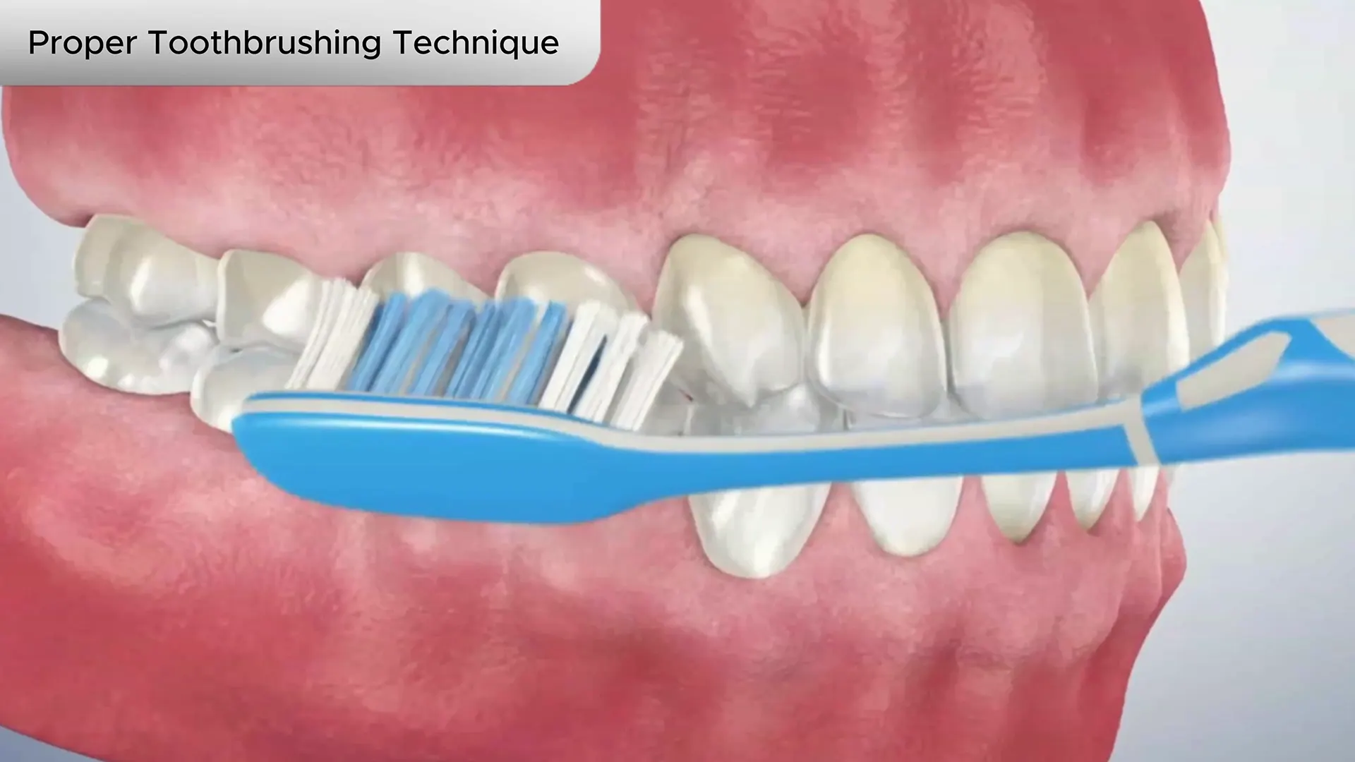 proper tooth brushing technique cover
